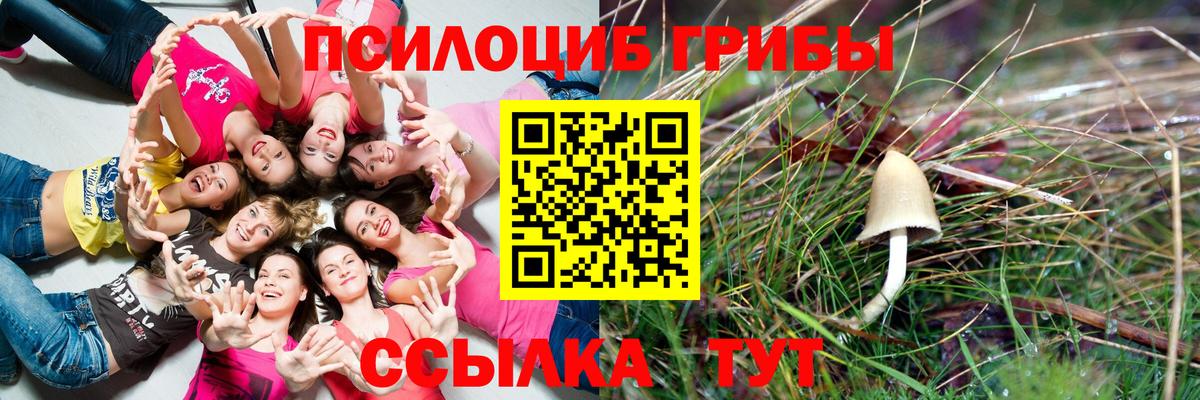 Галлюциногенные грибы ЛСД Апшеронск